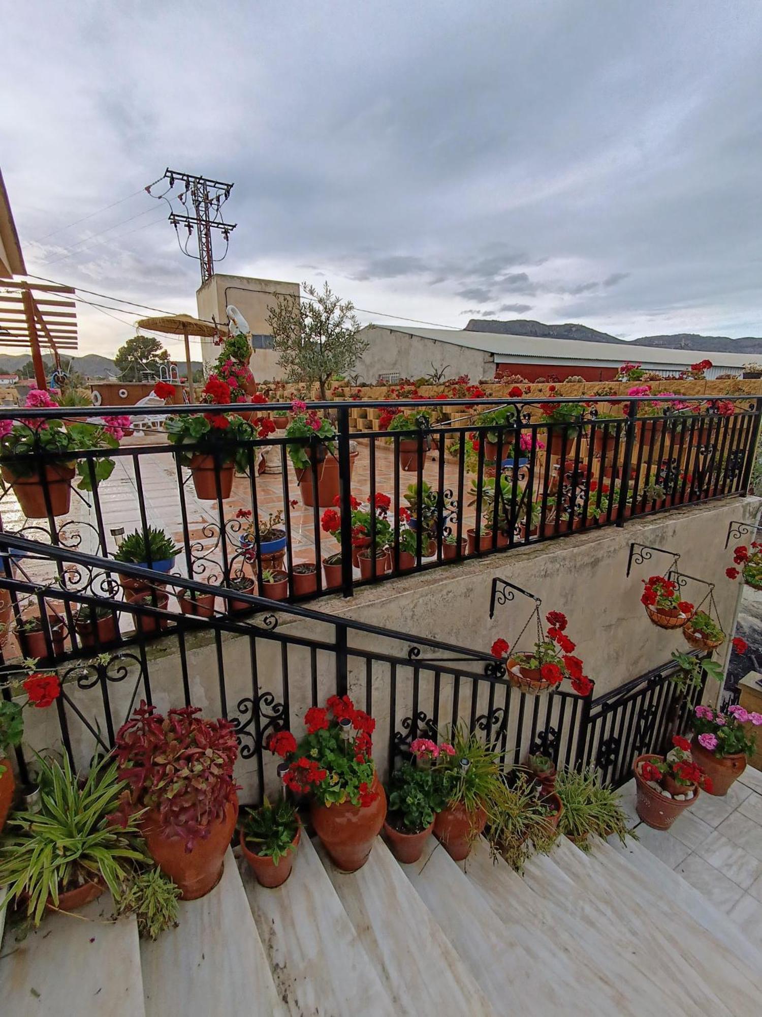 Casa Chalet Venta Ruizo Lorca  Εξωτερικό φωτογραφία