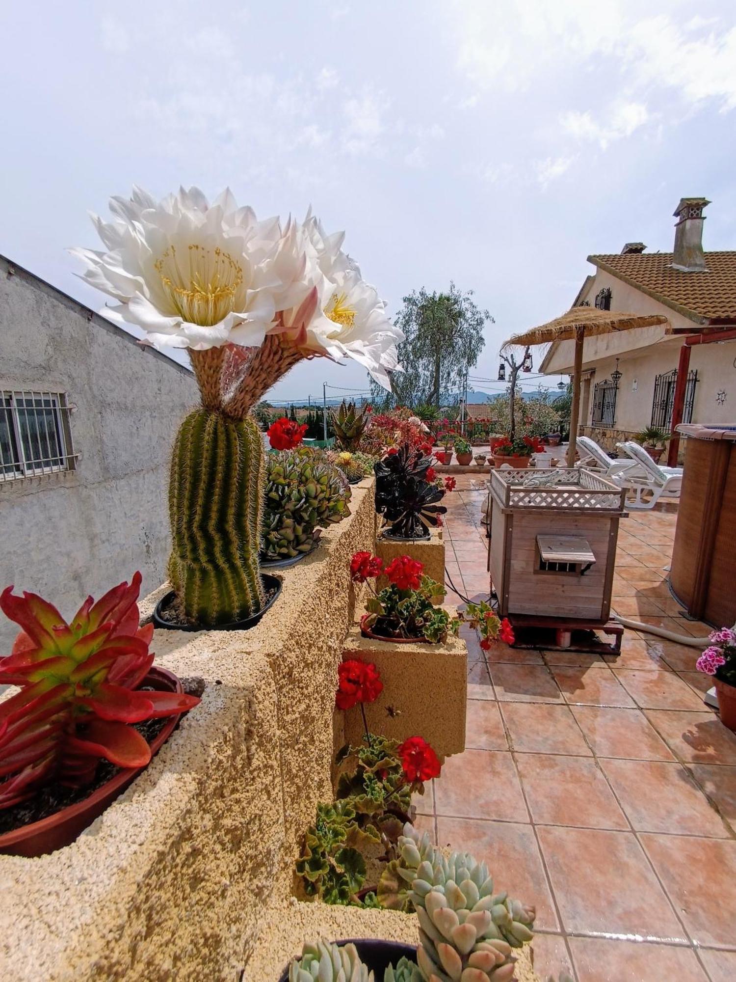Casa Chalet Venta Ruizo Lorca  Εξωτερικό φωτογραφία